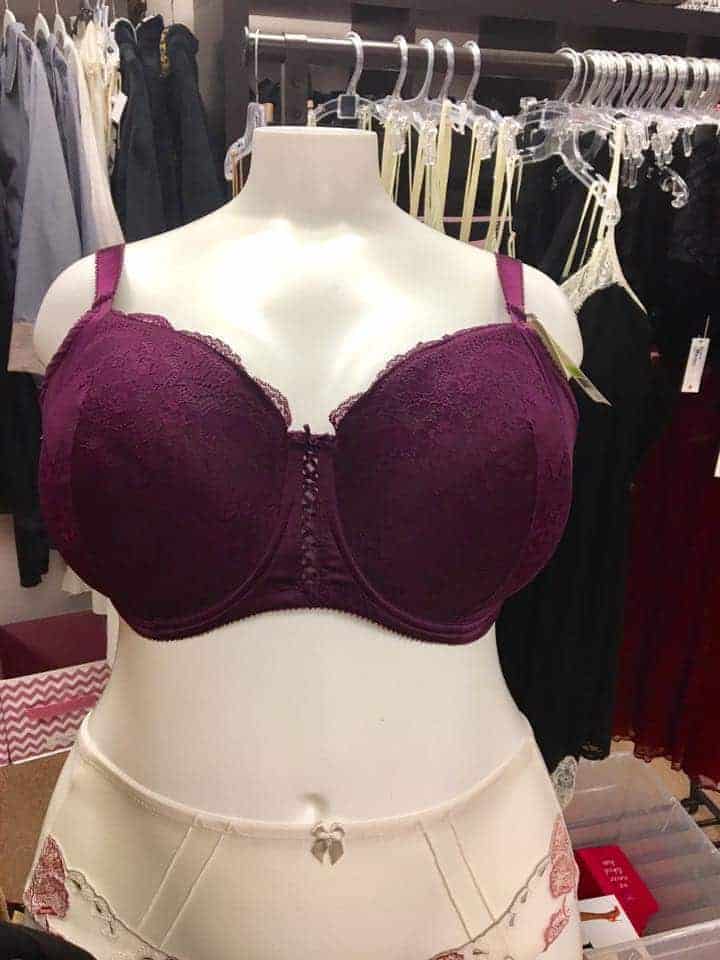 Best Lingerie Stores: Busted in Detroit in Detroit, Michigan -  ParfaitLingerie.com - Blog