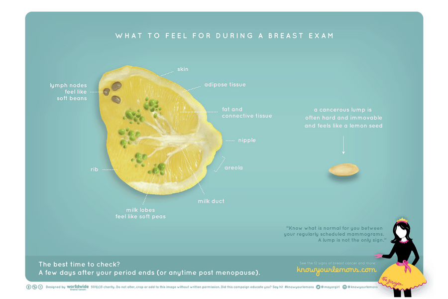 Untitled design 556 - Do You Know Your Lemons? These Photos Are Helping Women Detect Breast Cancer