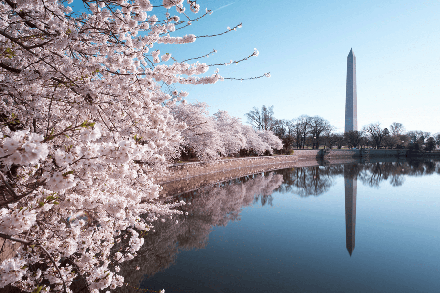 Washington, D.C. Washington Monument