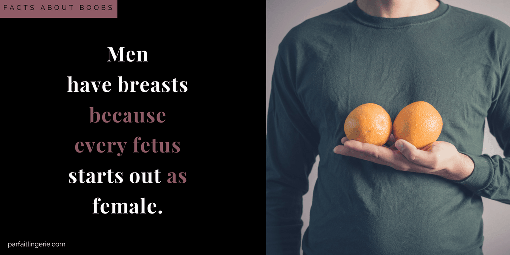 can men have breasts