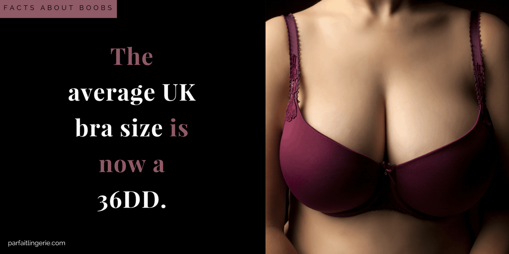 26 Fascinating Facts About Your Boobs You Probably Didn't Know -  ParfaitLingerie.com - Blog