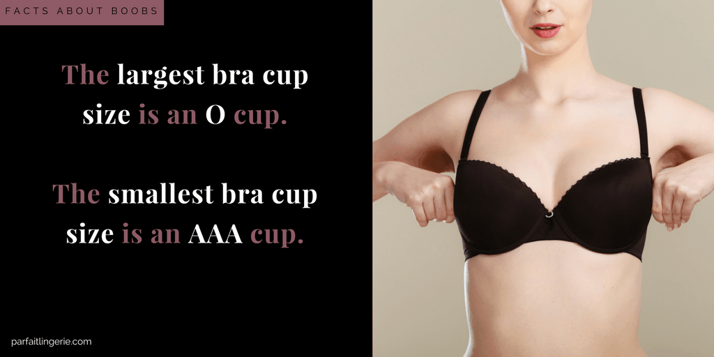 what is the largest bra size