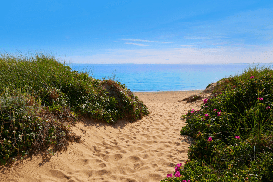 cape cod massachusets - 8 Best Babymoon Destinations in the US