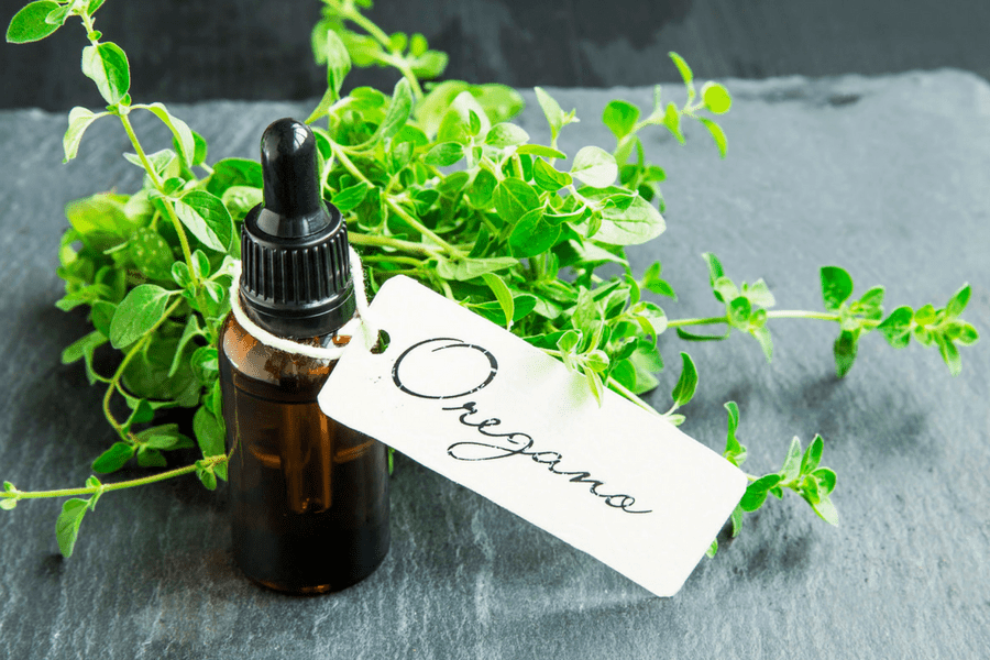 benefits of oregano essential oil