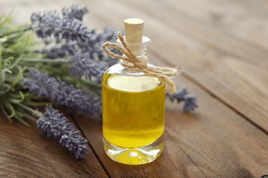 lavender essential oil benefits